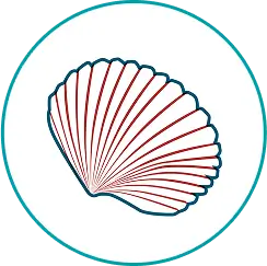 Shell Out