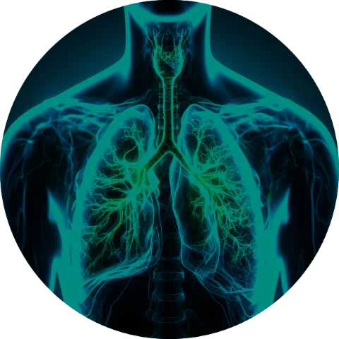 thoracic-01