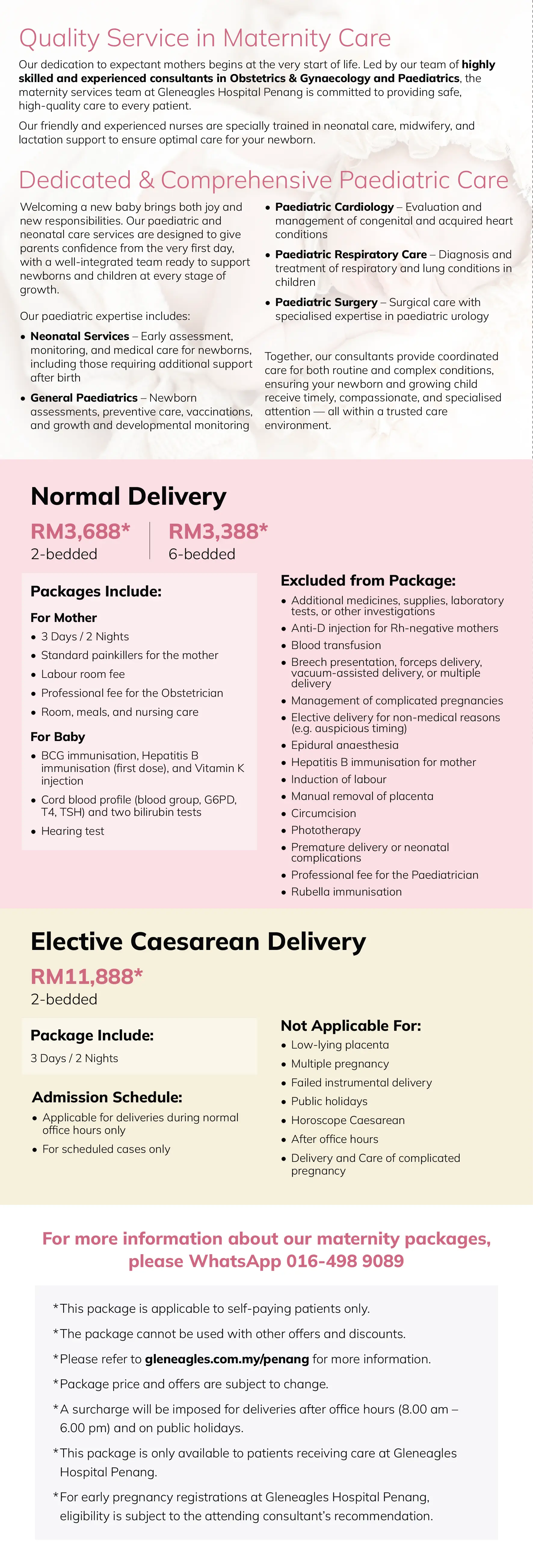 GPg_Ver1.5_MaternityPackage_MAR2025_website banner